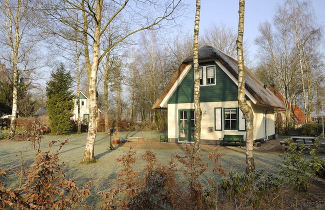 Holiday Home in Heeten Near Forest - Foto 25