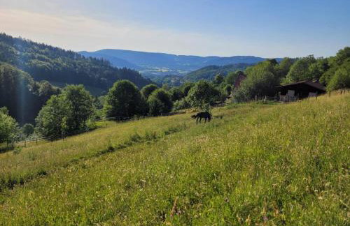 RELAX CHALET Nature Retreat - isolé sur 3 hectares - confort de LUXE - maison entière 150m2 - près de La Bresse - Foto 14
