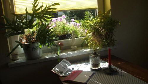 Holiday Home Oderhäuschen by Interhome - Foto 2