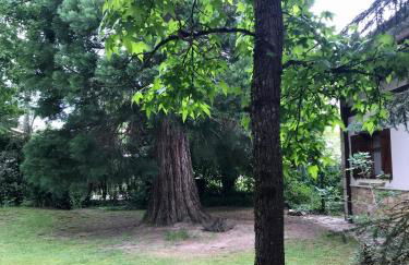 Caserio Arrigorri excelente ubicación jardín con BBQ perfecto para grupos - Foto 6