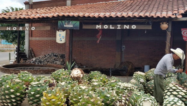 Hierve el Agua et Teotitlán del Valle - Photo 4