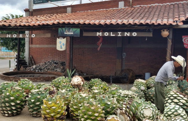 Hierve el Agua et Teotitlán del Valle - Photo 4
