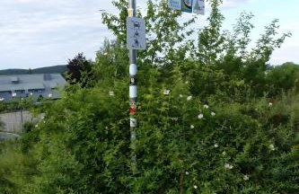 Blick In Den Garten - Foto 18