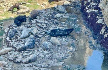 Autumn Cottage - Photo 41