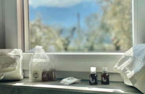 APARTMENT RIVA Lenno - Foto 15