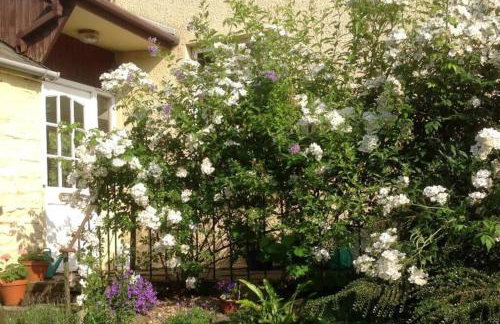 The Little Acorn - Photo 14