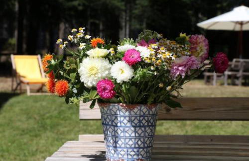 Two apartments in one house - Ferienhaus Matz - Foto 25