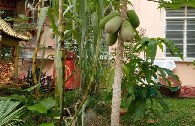 Genting Bukit Tinggi Homestay - Photo 10