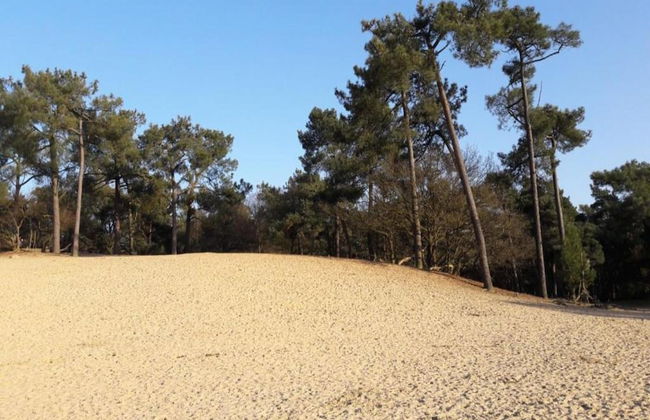 Lodge in Duinhoeve Near Dunes & Playground - Photo 32