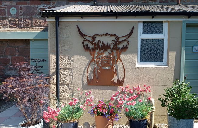 Millport Town or Country Holiday Lets - Foto 32