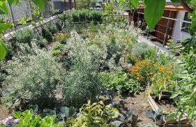 E s s e n t i a l Pompei - Foto 31