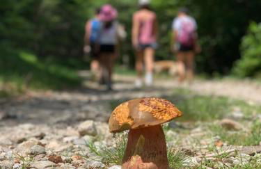 Maison les pieds dans l'eau - Foto 15