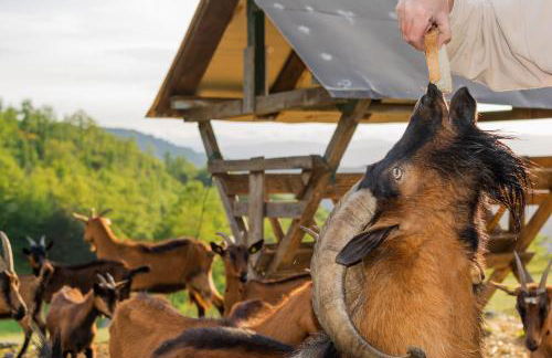 Agriturismo Casapasserini - Photo 35