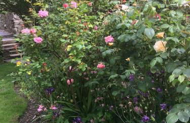 Chain House - Historic and Gorgeous, Spacious and Private - Foto 33