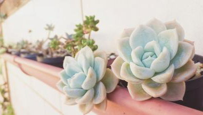 Residencial Tomodati - Foto 3