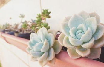 Residencial Tomodati - Photo 3