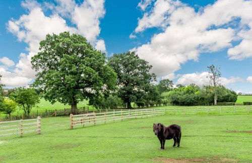 3 Bed in York oc-89538 - Photo 39