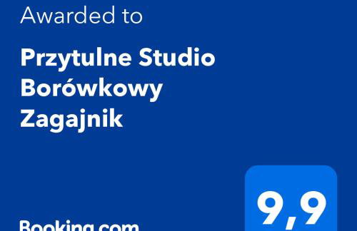 Przytulne Studio Borówkowy Zagajnik - Foto 2
