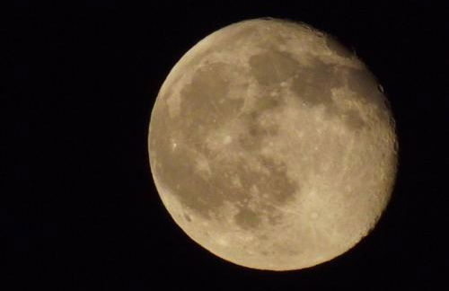 Casa da Comadre - Casas de Taipa - Foto 41