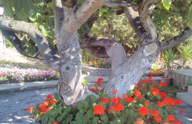 Enalion House - Photo 29