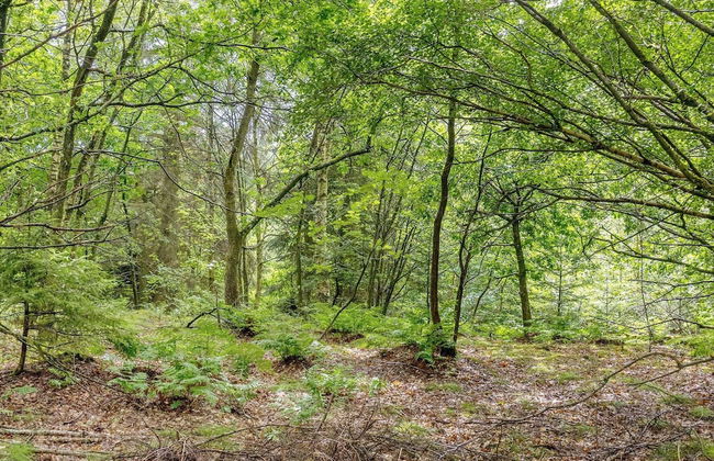 8 Person Holiday Home in Aars - Photo 29