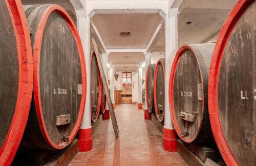 Dimora Perla di Villa - Historical Wine Retreat near Bernina Express - Foto 7