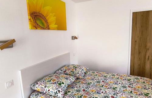 Les Hauts de Varage - Studio Dinéol - Foto 3