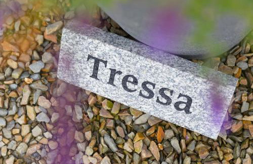 Tressa, Tor Down Quarry - Foto 3