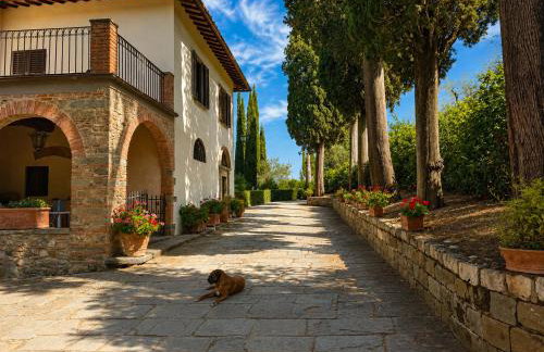 Podere di Montecchio - Le Andane - Foto 46