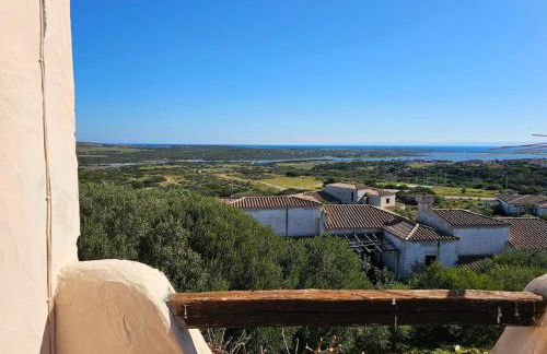 Bellavista, Stintino la pelosa - Foto 8