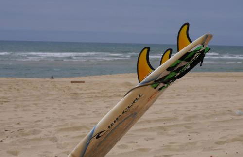 Au cœur du Bassin d'Arcachon - Foto 40