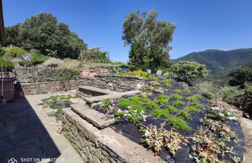 Walk and Relax Retreat - HOMY 5 TERRE - Foto 19