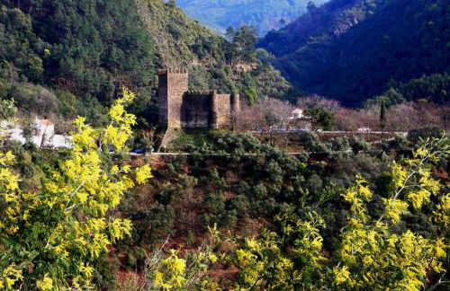 Vivenda Pirilampo - Foto 25