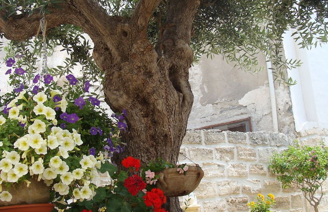 Guest House Al Gattopardo - Photo 16