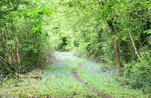 Holders Cottage - Foto 18