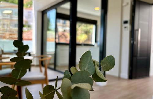 The Olive Tree House - Photo 18