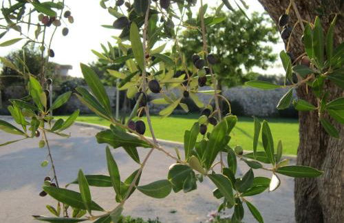 Willaria country house - Foto 102