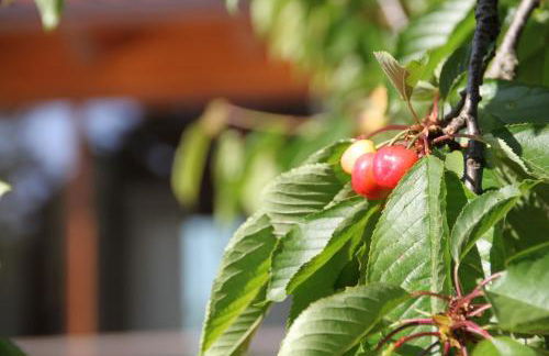 La casa di Colino e Annina - Foto 45