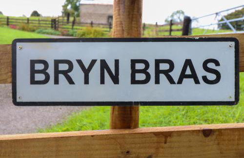 Bryn Bras - Photo 25