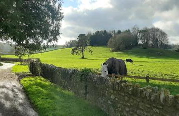 Stunning baptist chapel with concert piano, pets welcome - Foto 21