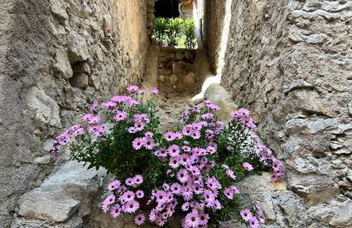 Studios Al Castello dei Limoni - Foto 6