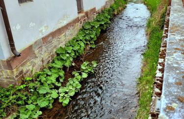 Ferienwohnung zum Sollingtor - Foto 15