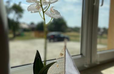 Gelbes Haus Seenland Ferienwohnungen XL - Foto 16