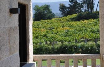 Enoturismo y Bodega Lagar de Costa - Foto 38