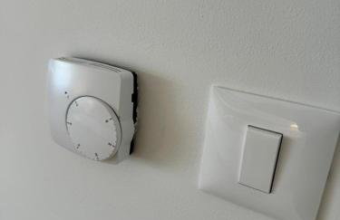 Palm Blues - Photo 54