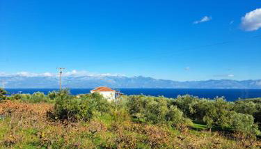 Vasilopoulos Estate - Photo 5