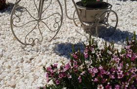 Haz de mi Rincón en Mugardos tu experiencia. - Photo 45