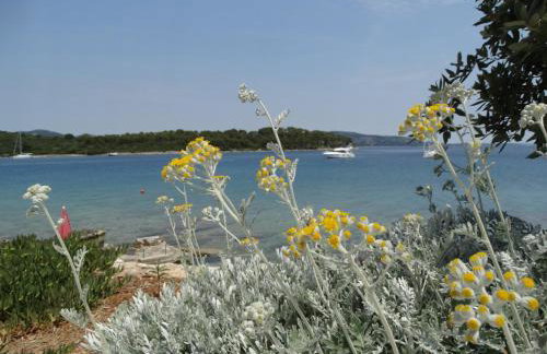 House by the sea - Foto 8