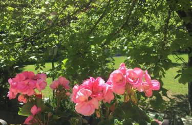 Welcome in Toscana - Foto 26