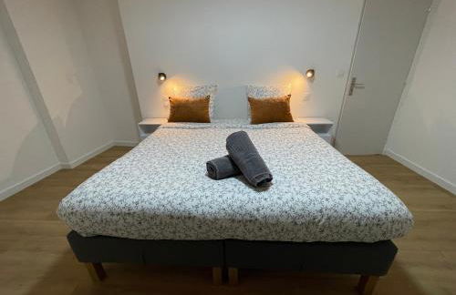 Maison Climatisée Coeur Historique Blagnac - Foto 35